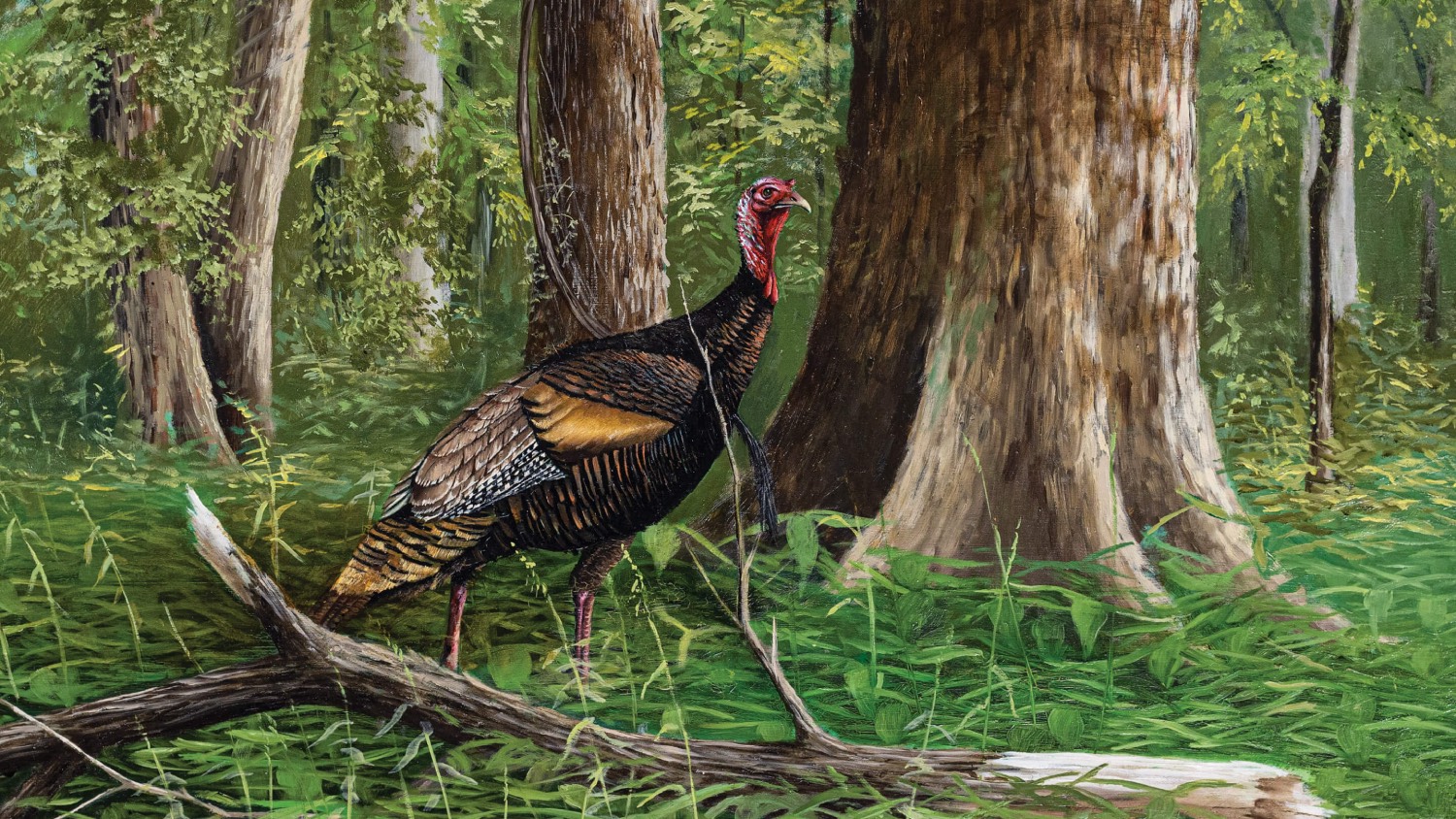 The Painting Behind the 2023 Mossy Oak Wild Turkey Stamp and